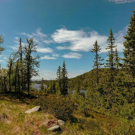 Modern Mountain With Views Over Slokovannet 度假居